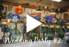 VIDEO WEDDING PARTY #2015